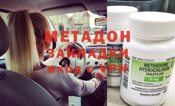 прущие грибы Зерноград