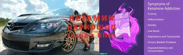 прущие грибы Зерноград