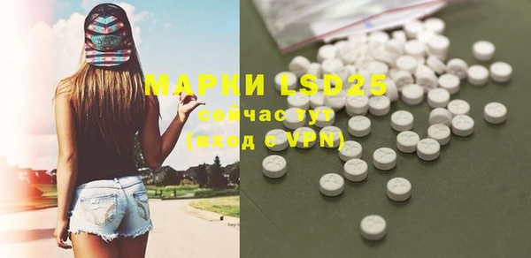 прущие грибы Зерноград