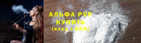 прущие грибы Зерноград