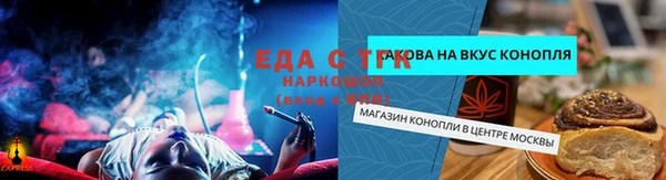 прущие грибы Зерноград