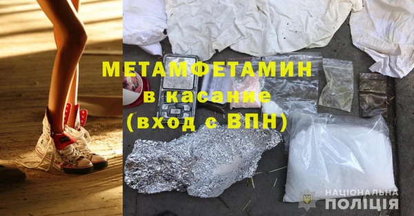 прущие грибы Зерноград