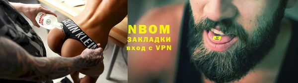 прущие грибы Зерноград