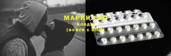 прущие грибы Зерноград