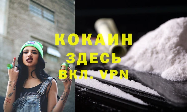 прущие грибы Зерноград