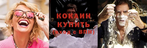 прущие грибы Зерноград