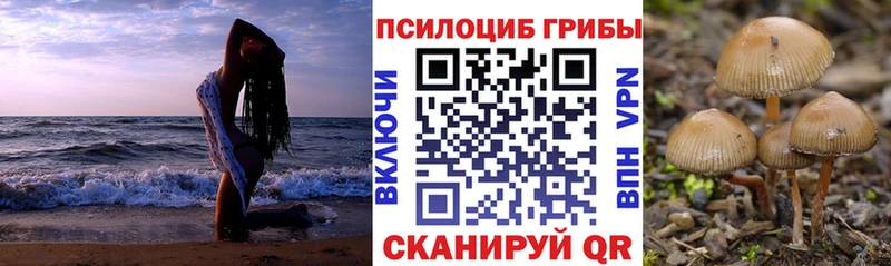 как найти закладки  Зея  Галлюциногенные грибы мицелий 
