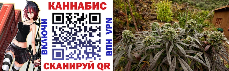 Бошки Шишки ГИДРОПОН  площадка как зайти  Зея 